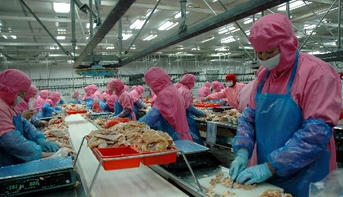 吉林农产品加工企业积极应对金融危机图